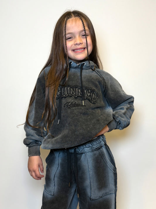 Conjunto Vicenta