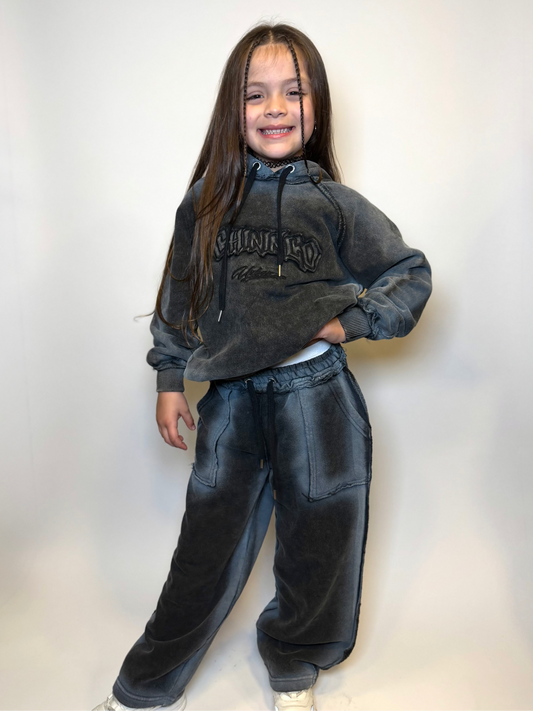 Conjunto Vicenta